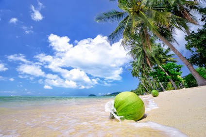 Verbreitung der Kokospalme